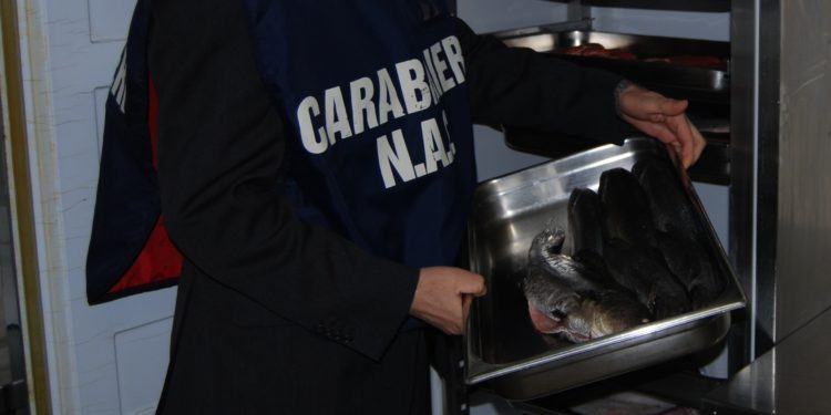 Nel corso di un controllo in un esercizio pubblico di gastronomia, i carabinieri del Nas di Cagliari hanno riscontrato la presenza di prodotti ittici non tracciabili