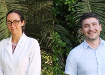 Ecco come sopravvive il Deinococcus radiodurans, a dirlo sono due ricercatori dell’Università di Cagliari