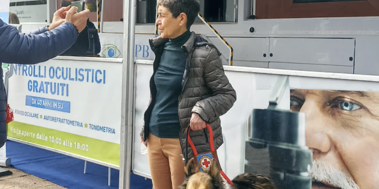 Venerdì 27 maggio, a Cagliari, si terrà un convegno su assunzioni obbligatorie e collocamento mirato nel rispetto della legge sul diritto al lavoro dei disabili