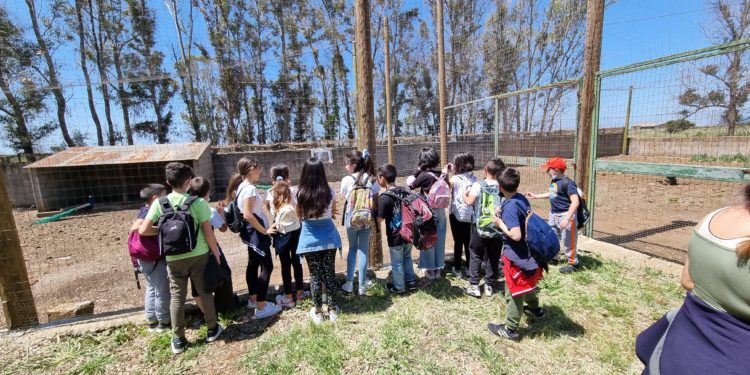 Il “Parco degli uccelli” di Scano Montiferro riparte grazie alla raccolta di fondi di Confagricoltura Nuoro ed Ogliastra e Rotary Club Nuoro