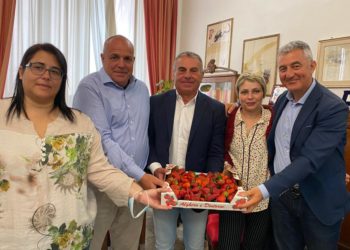 Sa Segada, ecco la sesta edizione della sagra delle fragole