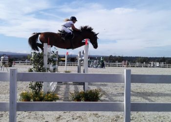 Abbasanta: 230 binomi a Tanca Regia per il concorso A1* e 2^ Tappa del Trofeo dei Nuraghi di salto ad ostacoli