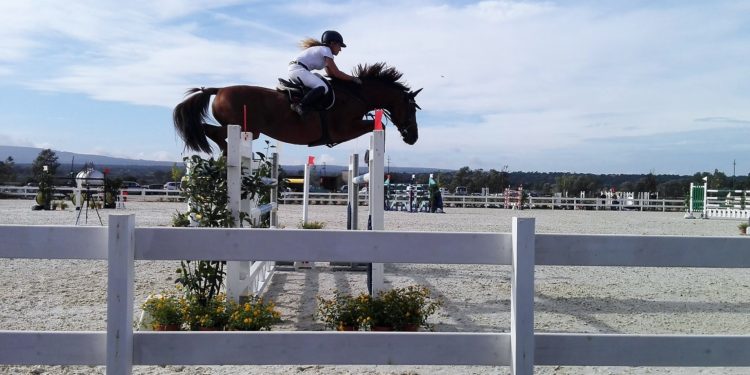 Abbasanta: 230 binomi a Tanca Regia per il concorso A1* e 2^ Tappa del Trofeo dei Nuraghi di salto ad ostacoli