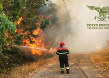 Incendi ad Assemini e Villaspeciosa