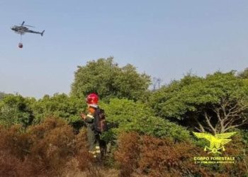 Incendio nelle campagne di Aggius, interviene il Corpo forestale 