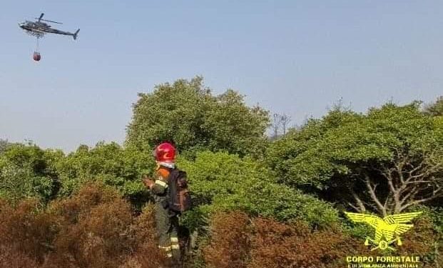 Incendio nelle campagne di Aggius, interviene il Corpo forestale