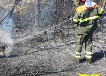 Incendio nelle campagne di Milis, bruciati circa due ettari di terreno