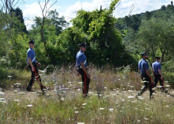I carabinieri di Villasor e Serramanna ieri hanno denunciato a piede libero per ricettazione, un allevatore cinquantenne del luogo
