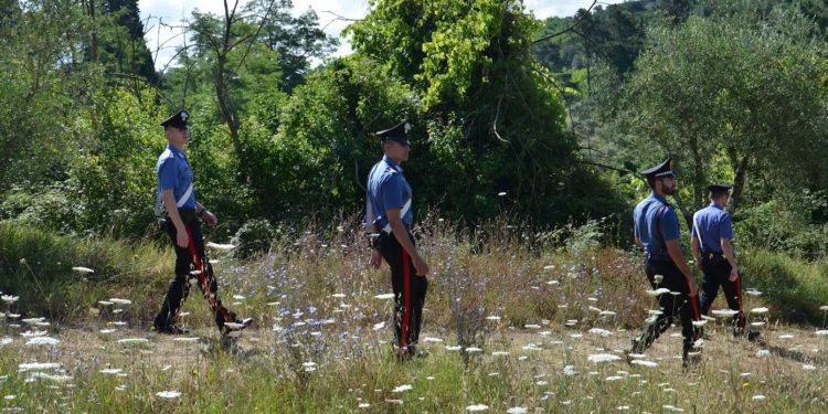 I carabinieri di Villasor e Serramanna ieri hanno denunciato a piede libero per ricettazione, un allevatore cinquantenne del luogo