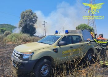 Incendi ad Albagiara, Uras, Santadi, Nuraminis, Carloforte, Oschiri, Orani, Usini, Dolianova e Luogosanto e Carloforte