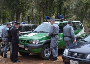 Sono giunti ieri a Cagliari due esemplari di “Aquila di Bonelli”, sequestrati a Palermo. Verranno liberati in Sardegna