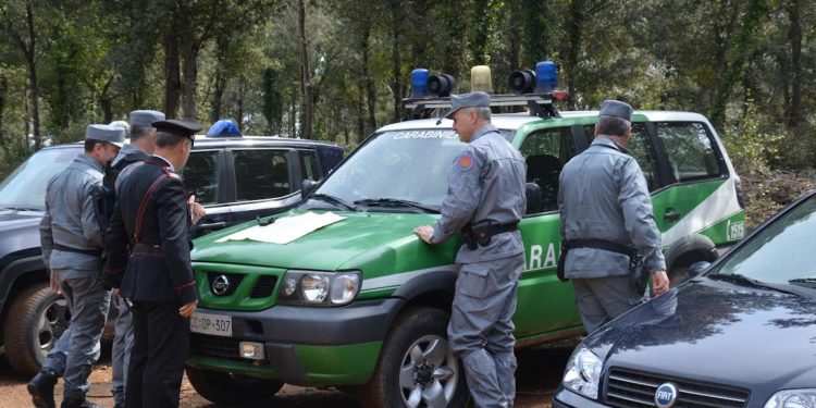 Sono giunti ieri a Cagliari due esemplari di “Aquila di Bonelli”, sequestrati a Palermo. Verranno liberati in Sardegna
