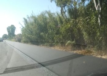 Arborea: al via i lavori per la sistemazione della provinciale 49 verso Tanca Marchesa