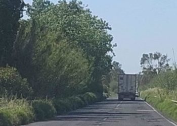 Arborea, strada provinciale 49: «I lavori di sistemazione del tratto che porta alla Tanca Marchese inizieranno la prossima settimana»