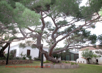 Caprera: domani si celebra il 140° anniversario della morte di Giuseppe Garibaldi