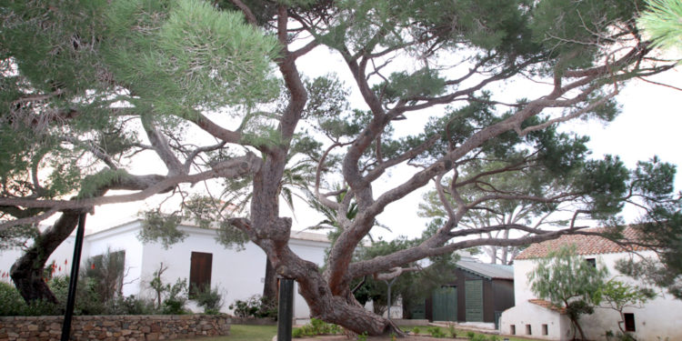 Caprera: domani si celebra il 140° anniversario della morte di Giuseppe Garibaldi