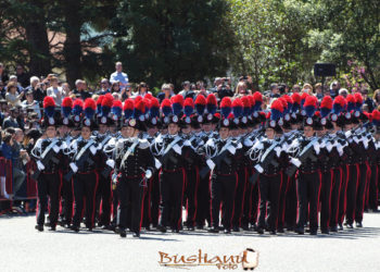 Romina Mura (Pd): «Senza l’Arma dei carabinieri, la Sardegna sarebbe più sola»