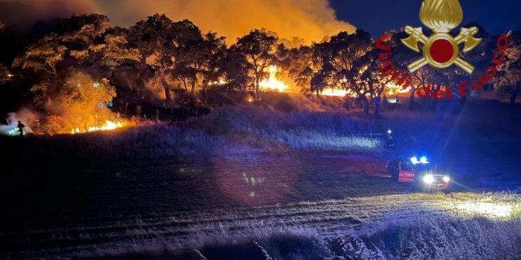 Bottidda: incendio di vegetazione a Monte Niveri, sul posto i vigili del fuoco