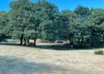 Silanus: il Comune dice basta al pascolo all’interno del “Parco montano Prunas” e all’abbandono dei rifiuti