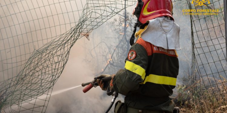 Incendio a Villaspeciosa, sul posto un elicottero dei vigili del fuoco