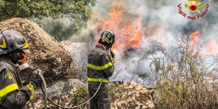 E’ nuovamente allarme incendi in Sardegna, Coldiretti Oristano monitora la situazione