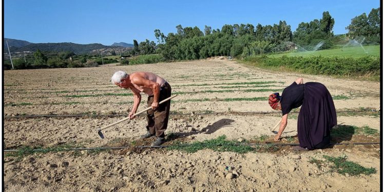 Antico e Moderno: “Tutto in una foto”: il comune di Curcuris bandisce il secondo concorso fotografico