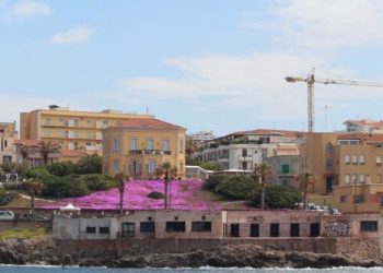 Alghero: rinasce il “Caval Marì”  