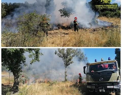 Incendi ad Oschiri e Villasor