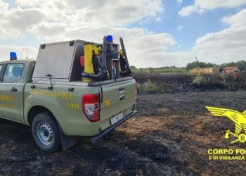 Paulilatino, incendio in località Nuraghe Santa Cristina: sul posto Forestale, Forestas, barracelli e volontari