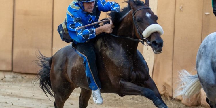 Silanus: il fantino silanese Dino Pes si è aggiudicato il Palio di San Valentino a Bientina