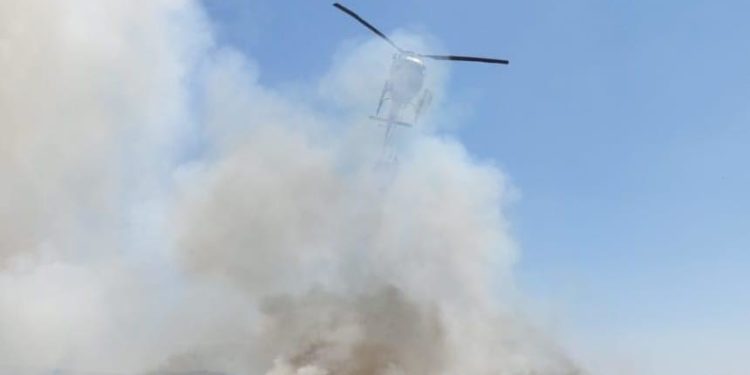 Incendi a Nurri, Abbasanta, Berchidda, Silius, Setzu e al confine tra Soleminis e Settimo San Pietro