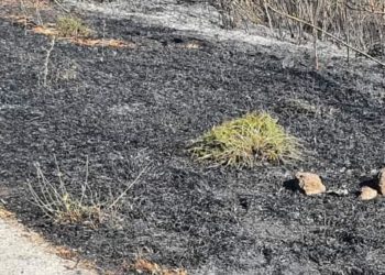 Nuovo incendio a Bonorva, la protesta del sindaco Massimo D’Agostino