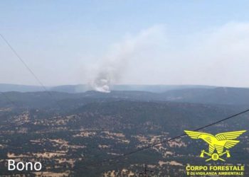 Incendi a Bono, San Sperate, Girasole, Nuoro, Girasole, Palau ed Arbus