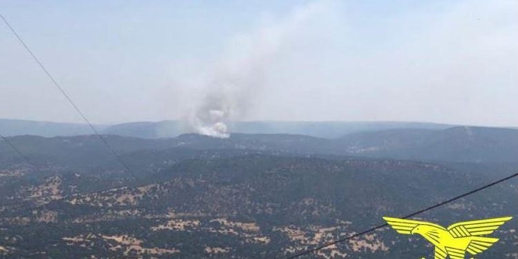 Incendi a Bono, San Sperate, Girasole, Nuoro, Girasole, Palau ed Arbus