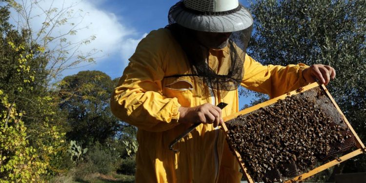 Le “Chistionis” approdano ad Albagiara ed Usellus