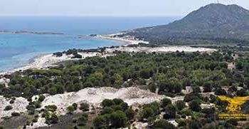 Rete Natura 2000: proseguono i controlli a Berchida, Bidderosa, Palude di Osalla e Golfo di Orosei