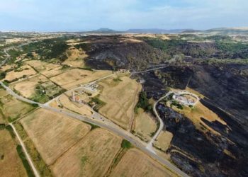 Incendio del 21 giugno a Codrongianos, il Comune dichiara lo stato di calamità naturale