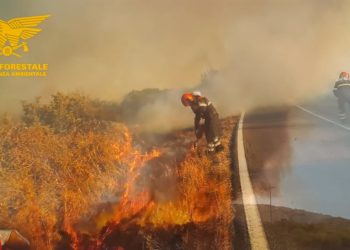 20 incendi oggi in Sardegna. A San Teodoro, Ottana, Sassari, Nule, Torpè, Berchidda, Villagrande Strisaili, Gergei e Tortolì impegnati anche mezzi aerei