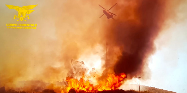 20 incendi oggi in Sardegna. A San Teodoro, Ottana, Sassari, Nule, Torpè, Berchidda, Villagrande Strisaili, Gergei e Tortolì impegnati anche mezzi aerei