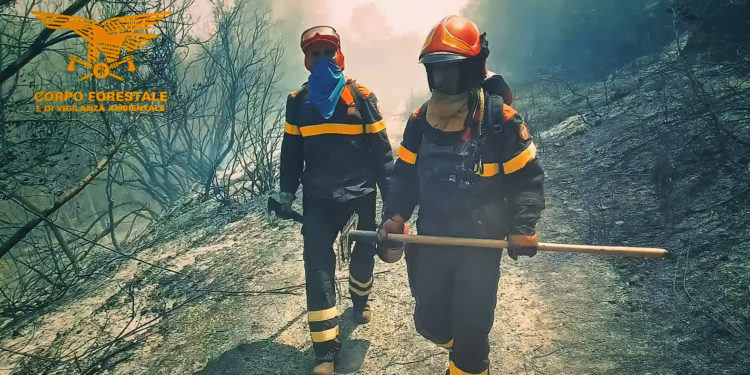 20 incendi oggi in Sardegna. A San Teodoro, Ottana, Sassari, Nule, Torpè, Berchidda, Villagrande Strisaili, Gergei e Tortolì impegnati anche mezzi aerei