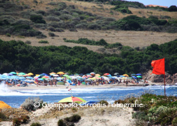 Le onde ed il surf della Sardegna tornano in scena: ecco MarineddaBay Surf Trilogy, tre eventi di puro divertimento in Sardegna