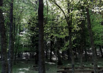 Domenica 31 luglio Anela festeggia Santu Jorzi