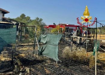 Proseguono le operazioni nella zona agricola del comune di San Sperate per un vasto incendio di vegetazione