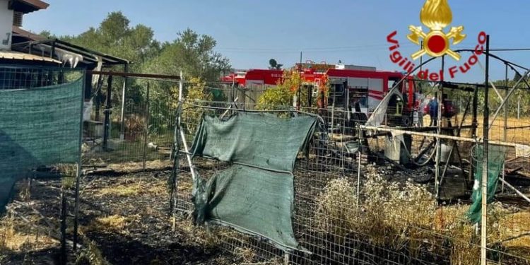 Proseguono le operazioni nella zona agricola del comune di San Sperate per un vasto incendio di vegetazione