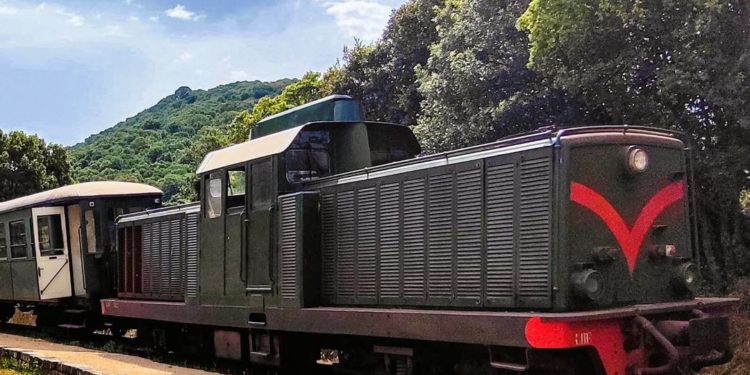 Estate in Trenino Verde, anche in Gallura!