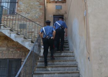 Ieri, a Selargius, i carabinieri di Sant’Avendrace hanno denunciato a piede libero per il reato di detenzione ai fini di spaccio di sostanze stupefacenti, un disoccupato 39enne di Elmas