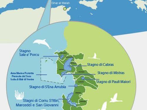 Oristano: nuovo passo avanti per il progetto Maristanis