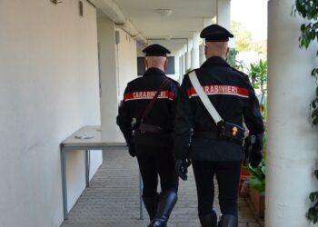 Un disoccupato 50enne di Quartu Sant’Elena è stato denunciato dai carabinieri di Sinnai per abbandono dell’anziana madre convivente
