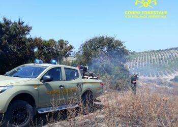 Incendio a Burgos