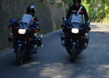 I carabinieri di Arbus hanno denunciato a piede libero per furto aggravato, un 42enne ed un 40enne, entrambi disoccupati del luogo